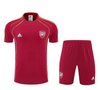Arsenal 25/26 Pre Match/Training Shorts Set 2